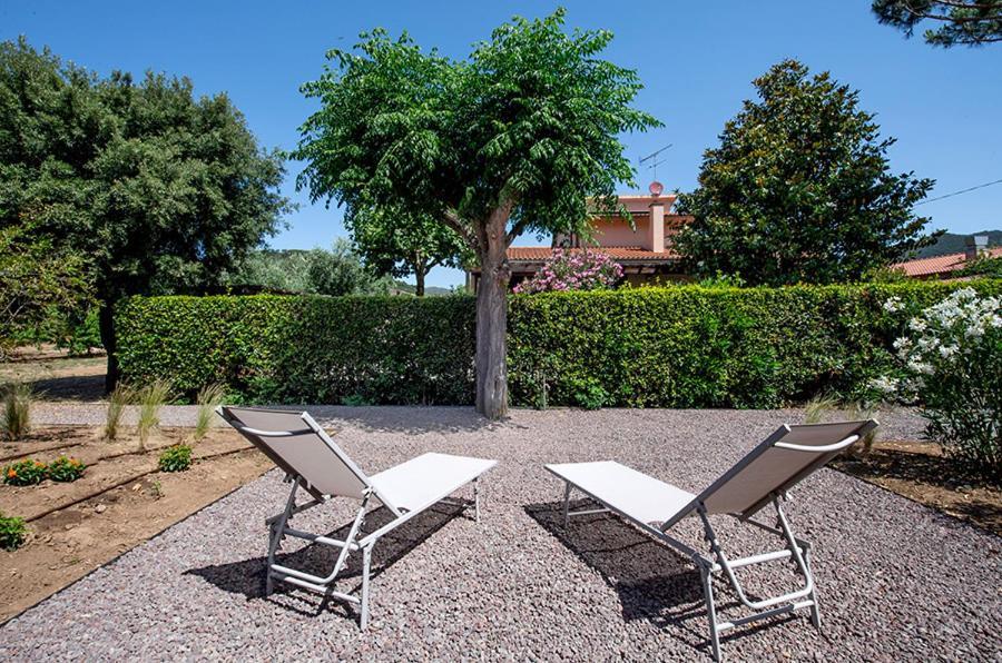 Agriturismo La Sassicaia 卡斯蒂里昂纳·德拉佩 外观 照片